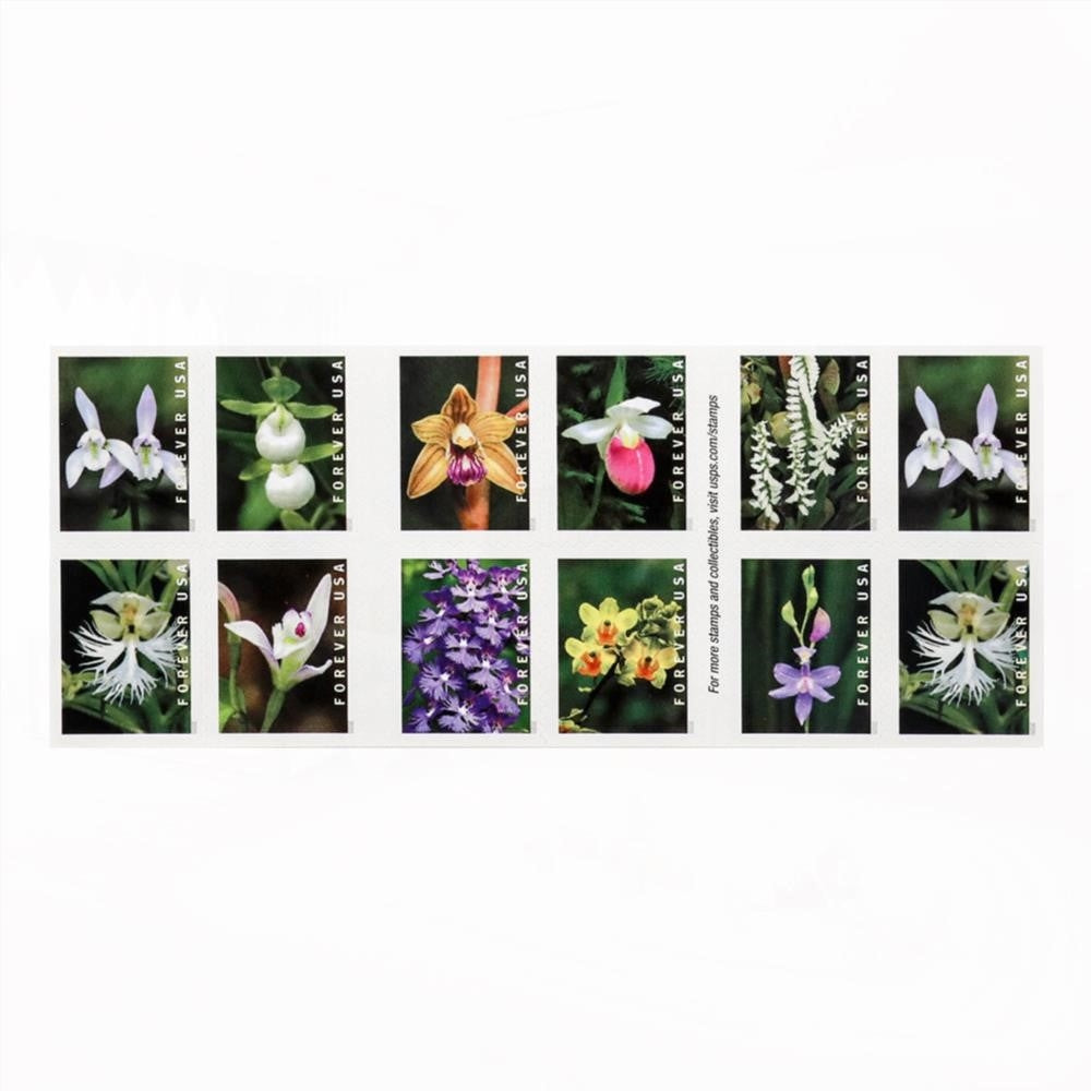U.S. 2021 Wild Orchids Framed Forever Stamps