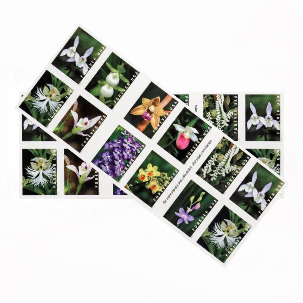 U.S. 2021 Wild Orchids Framed Forever Stamps