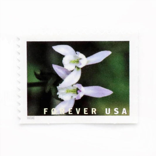 U.S. 2021 Wild Orchids Framed Forever Stamps