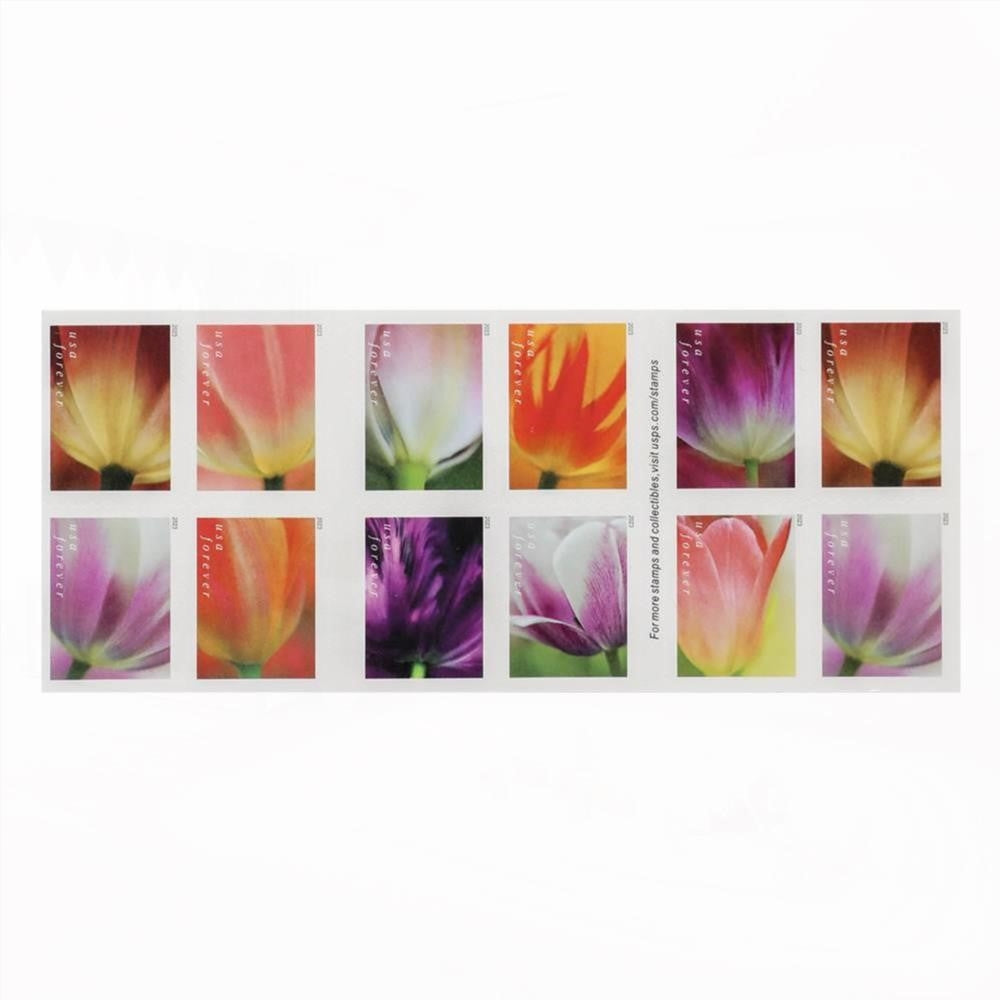 2023 US First-Class Forever Stamps - Tulip Blossoms booklet