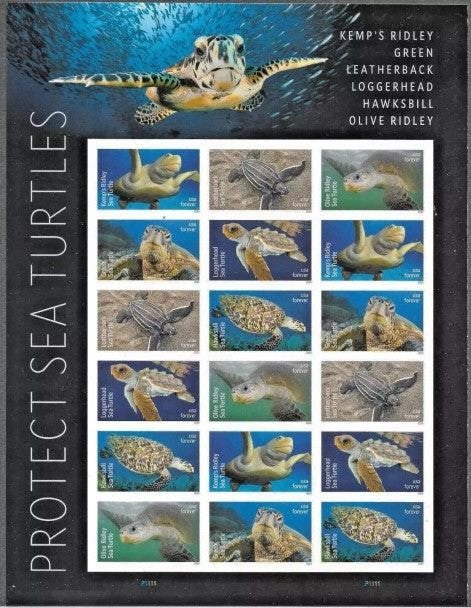 2024 US Protect Sea Turtles Forever First Class Postage Stamps